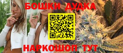 прущие крисы Гатчина