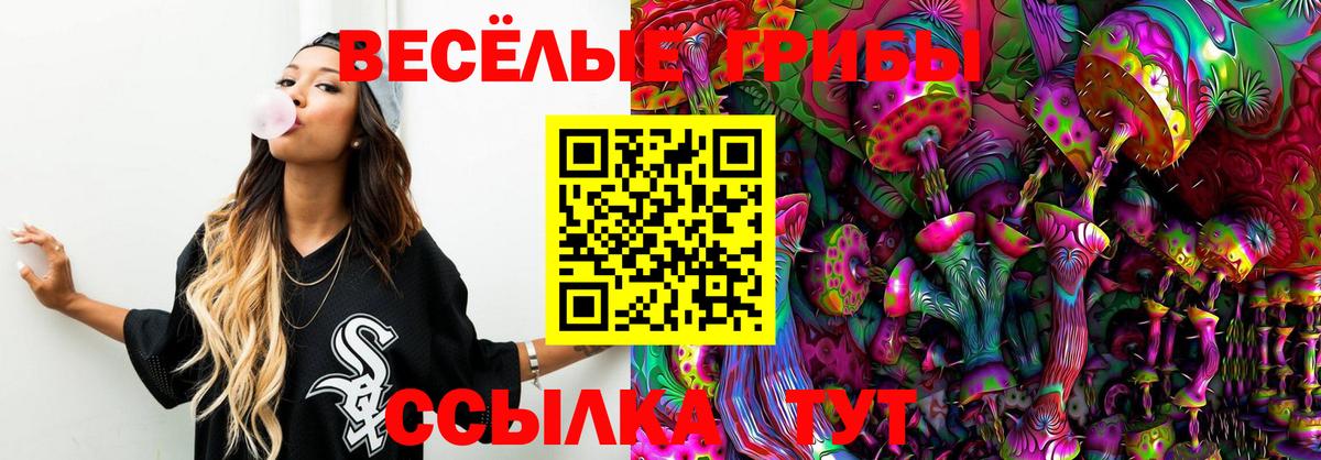 Екатеринбург  Галлюциногенные грибы Cubensis  Вход с VPN  Галлюциногенные грибы ЛСД 